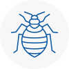 Bed Bug Extermination In Greasby