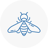 Bee Nest Removal Greasby