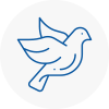 Bird Prevention Greasby