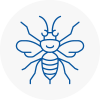 Greasby Hornet Nest Removals