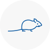 Mice Exterminators In Greasby