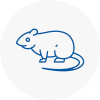 Rat Control Greasby