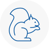 Greasby Rodent Removals