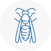 Greasby Wasp Nest Removal